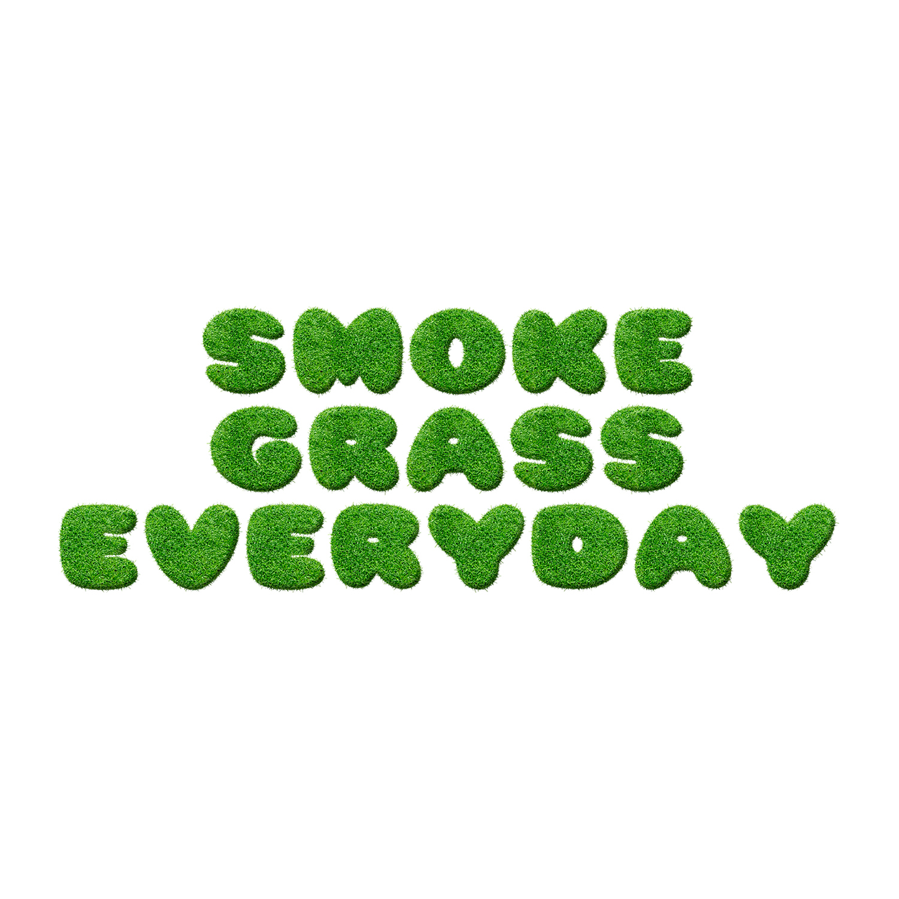 T-SHIRT SMOKE GRASS EVERYDAY