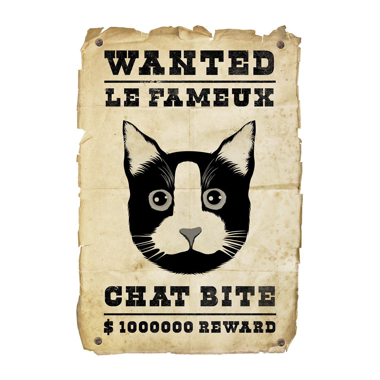 T-SHIRT LE FAMEUX CHAT